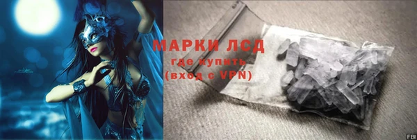 стаф Володарск