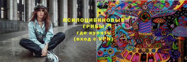 стаф Володарск