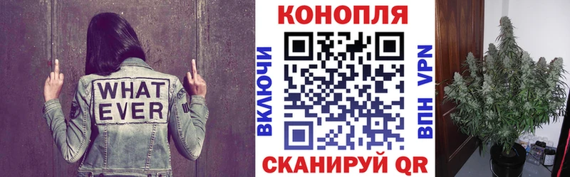 купить наркоту  Чистополь  Канабис Bruce Banner 